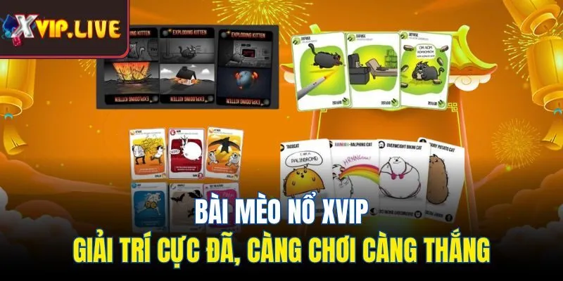 bài mèo nổ
