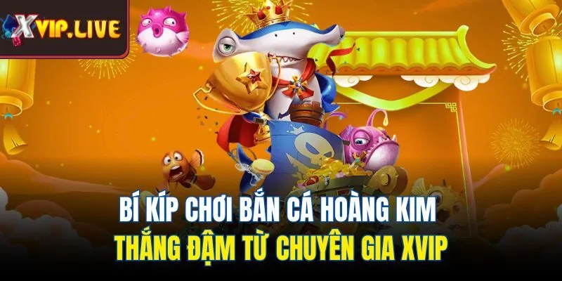 Bí kíp chơi bắn cá hoàng kim thắng đậm từ chuyên gia Xvip