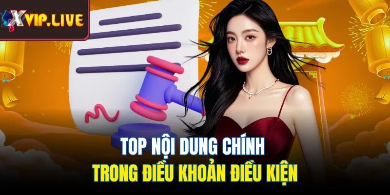 Top nội dung chính trong điều khoản điều kiện