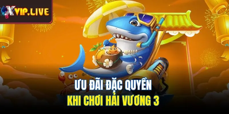 Ưu đãi đặc quyền khi chơi hải vương 3 